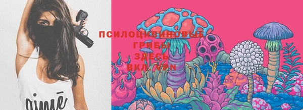 мдпв Балабаново