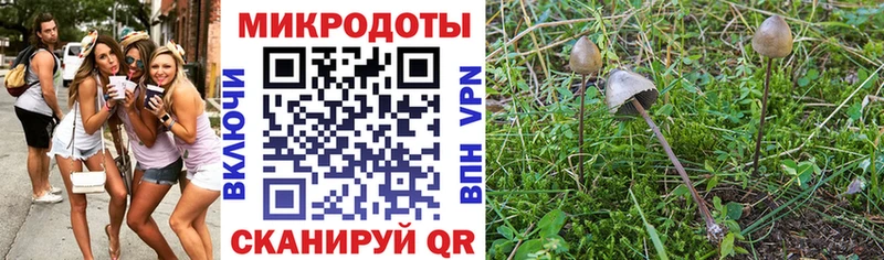 OMG как войти  купить наркотик  Нязепетровск  Псилоцибиновые грибы GOLDEN TEACHER 